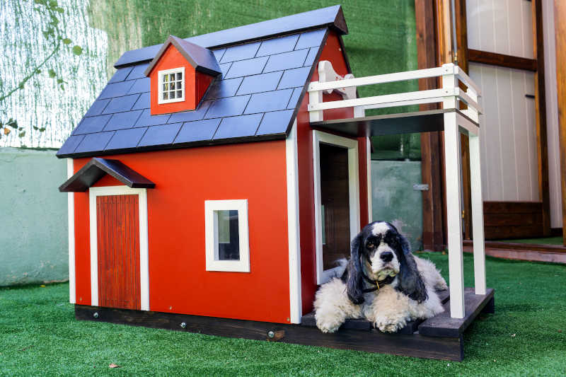 Dog House Reviews